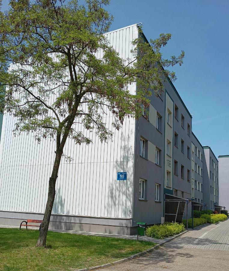 Bursztynowy Apartament Tarnowskie Góry Exteriör bild